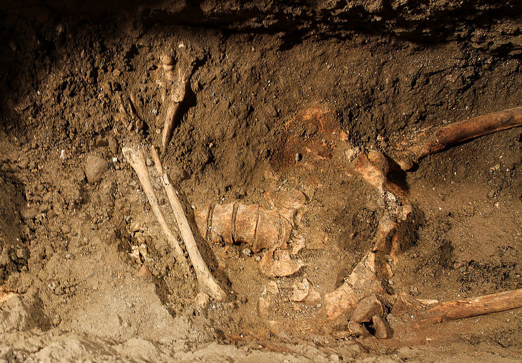 A human skeleton is seen at an excavation