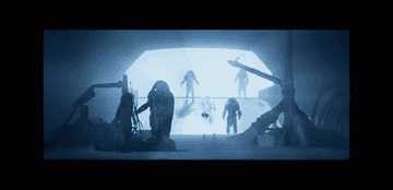 Predators in the dark