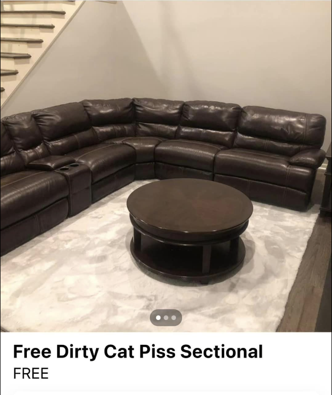 Sectional couch with cat pee stains — &quot;free&quot;