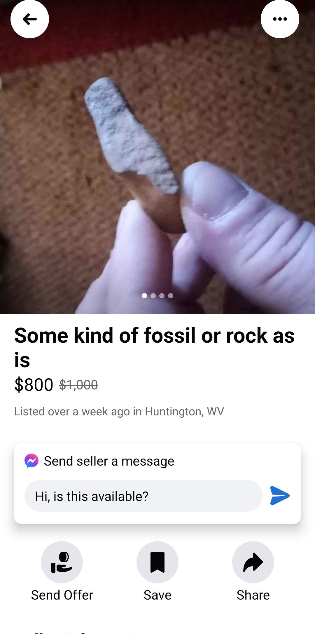 Tiny rock being sold as a fossil for $800, down from $1,000