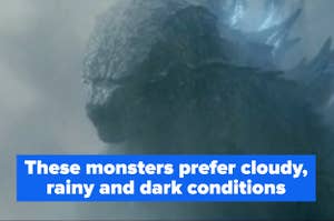 An image of Godzilla with the text "These monsters prefer cloudy, rainy and dark conditions"