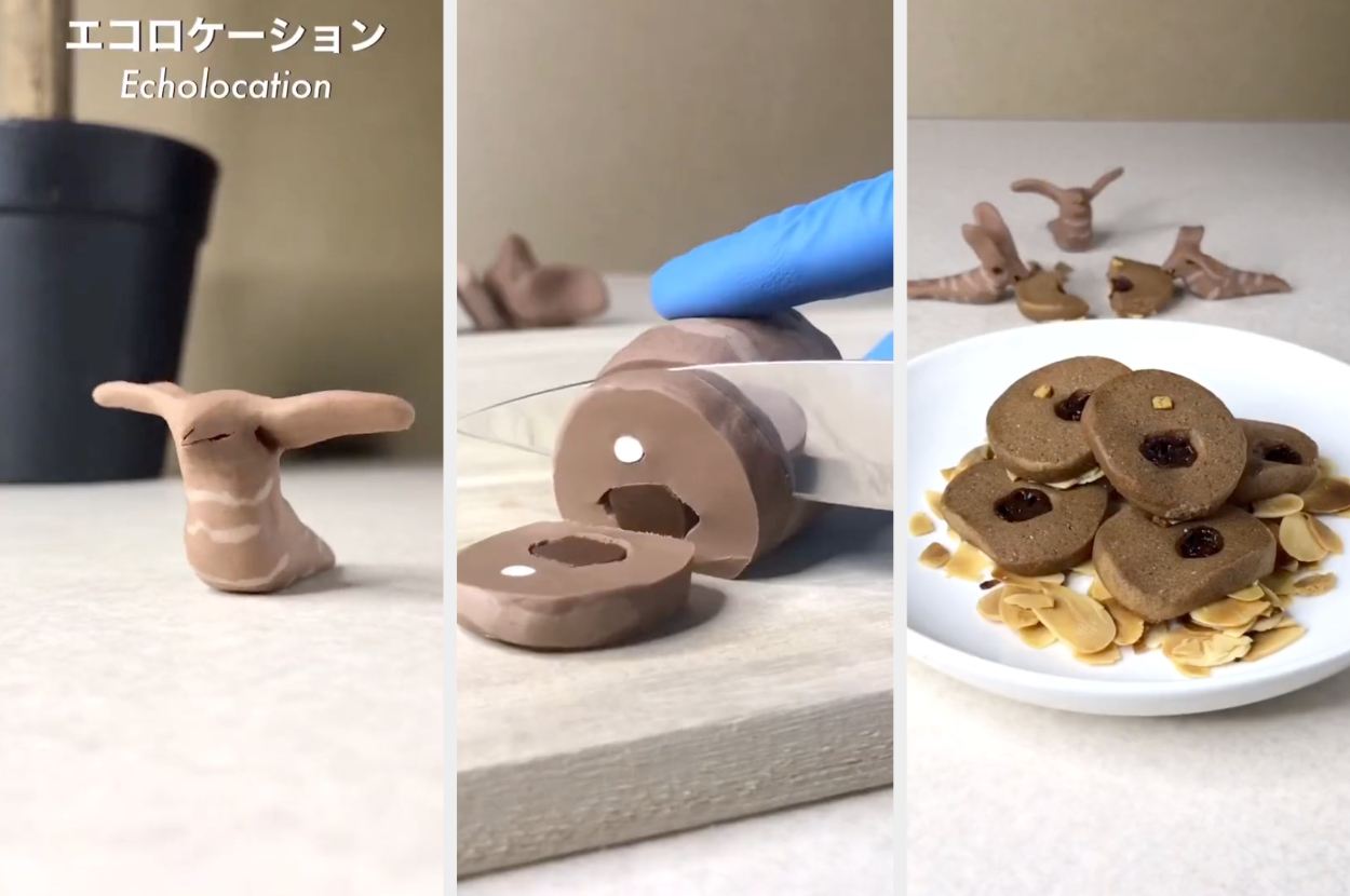チョコカブトガニ」に「バニラガゼル」「コサジサンショウウオ