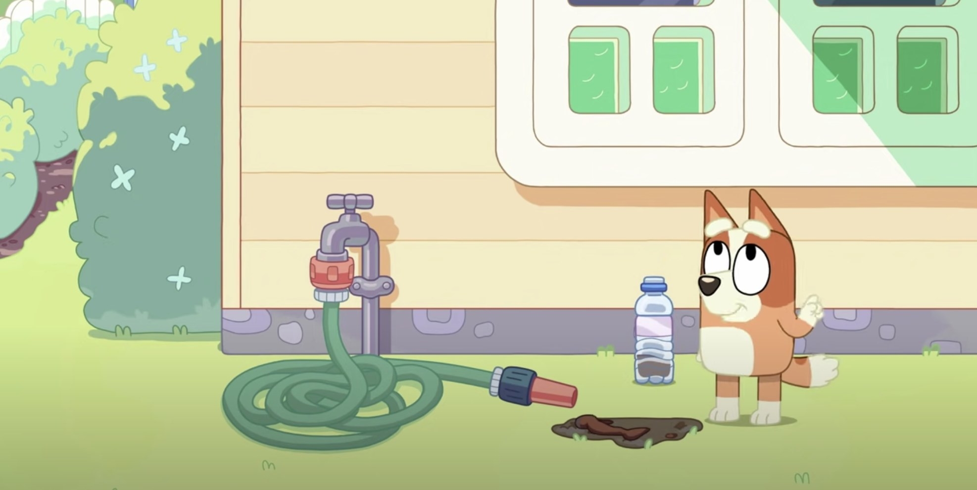 scene where Bingo is playing with a hose, water bottle, and dirt in the backyard