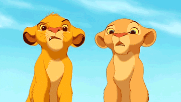 Simba and Nala look confused