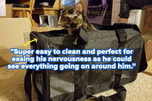cat sitting upright in a black mesh carrier with reviewer quote on image "super easy to clean and perfect for easing his nervousness as he could see everything going on around him"