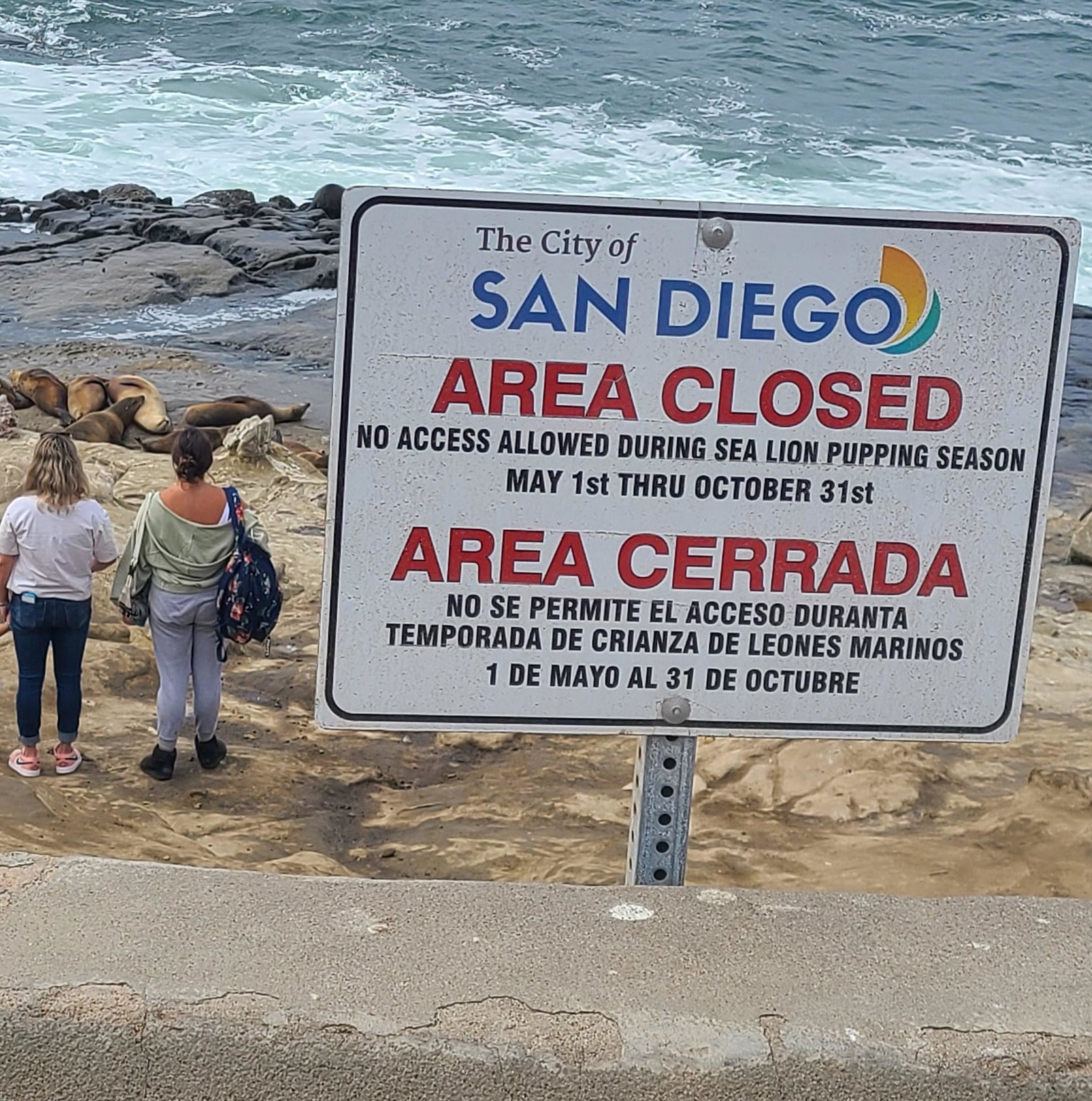 A sign says the area is closed and no access allowed during sea lion pupping season, but people can be seen behind the sign and very close to the sea lions