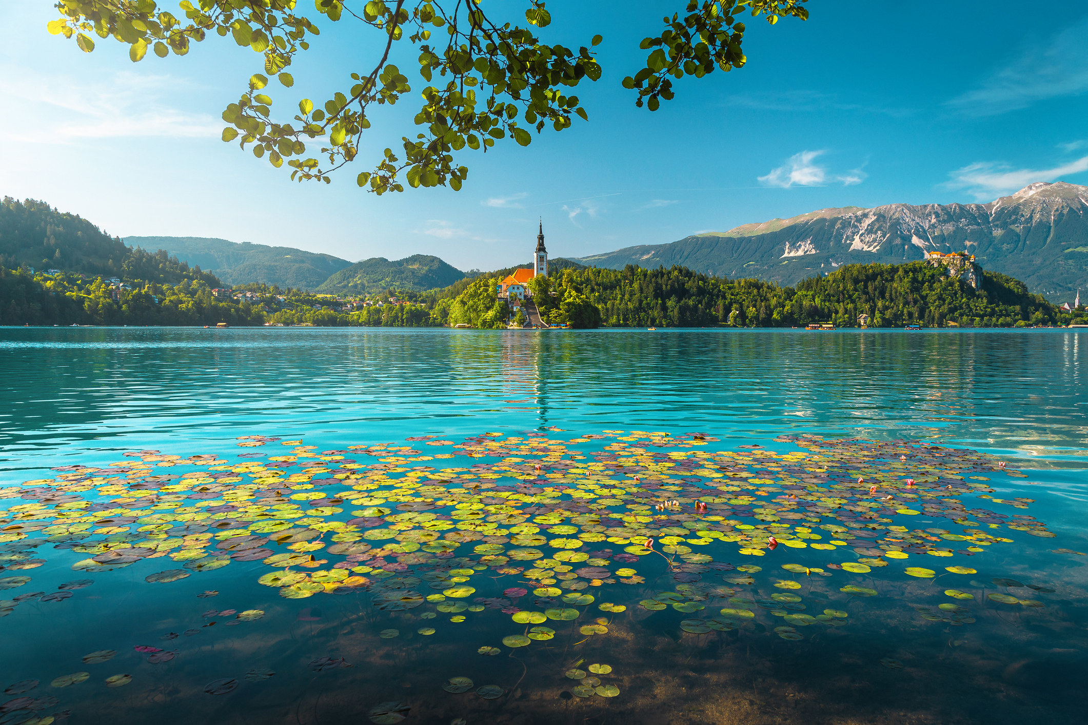 Lake Bled during the summertime