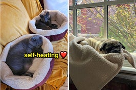 Reviewer's cats resting in self-heating beds labeled "self-heating" with a heart emoji, and a reviewer's dog napping in a suctioned window hammock
