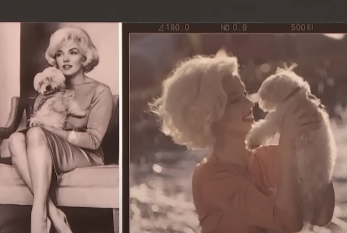Side-by-side of Marilyn Monroe and Ana de Armas with their dogs
