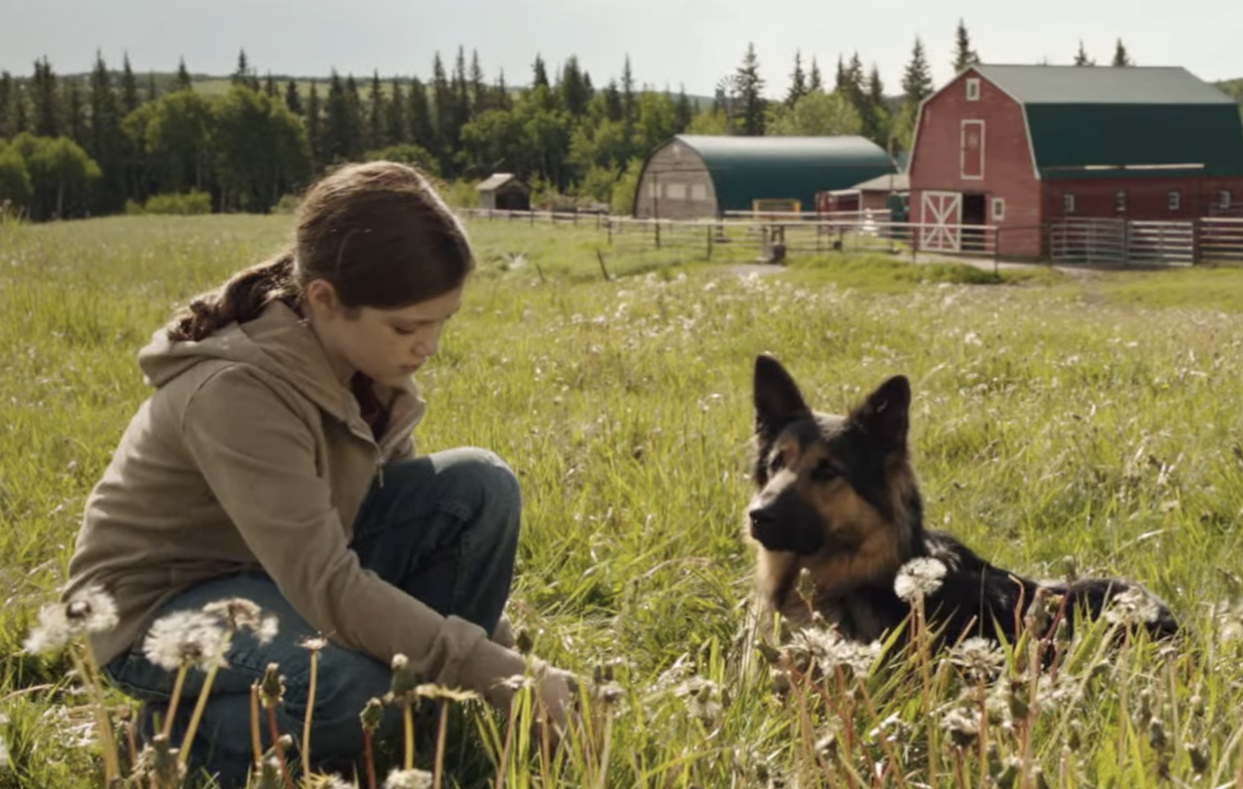 Screenshot from &quot;Heartland&quot;