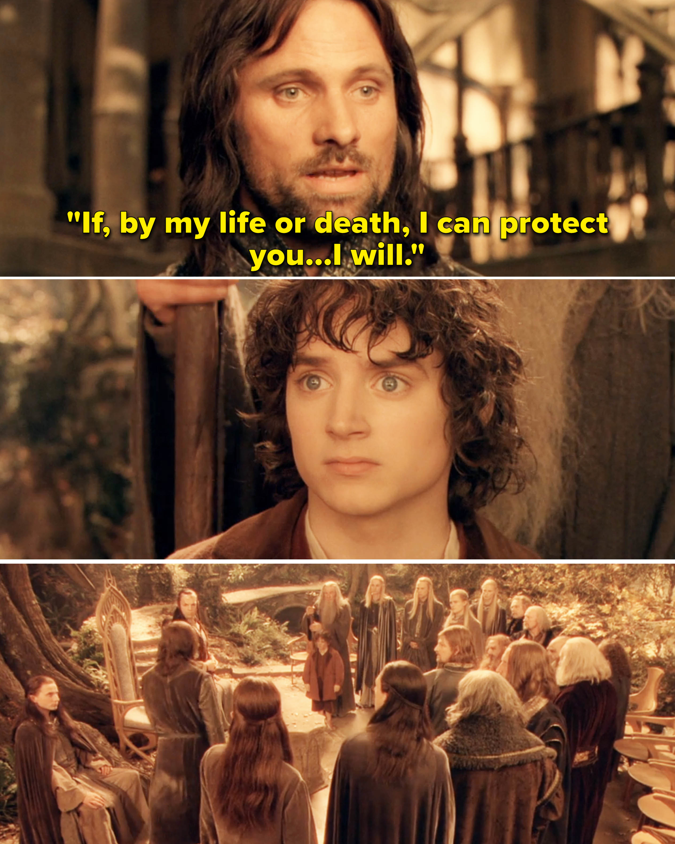 Aragorn saying, &quot;If, by my life or death, I can protect you, I will&quot;