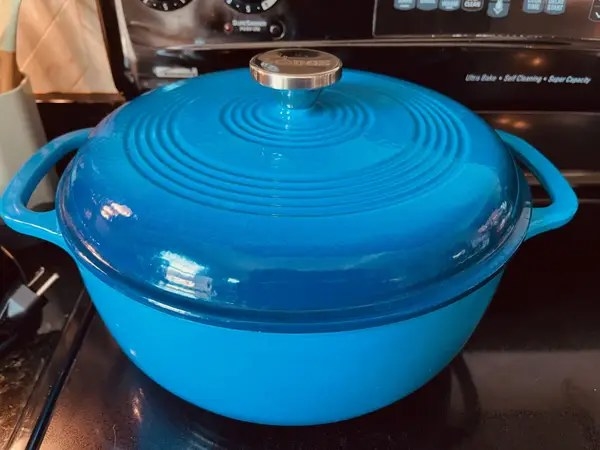 buzzfeed writer&#x27;s photo of the Dutch oven in the color Blue