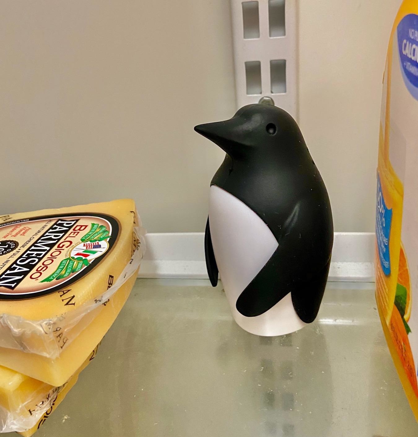 Reviewer&#x27;s photo of the fridge deodorizer penguin