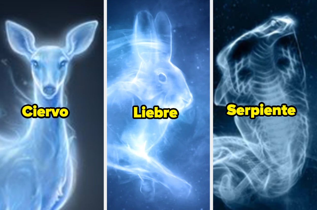 cu-l-es-tu-patronus-de-harry-potter