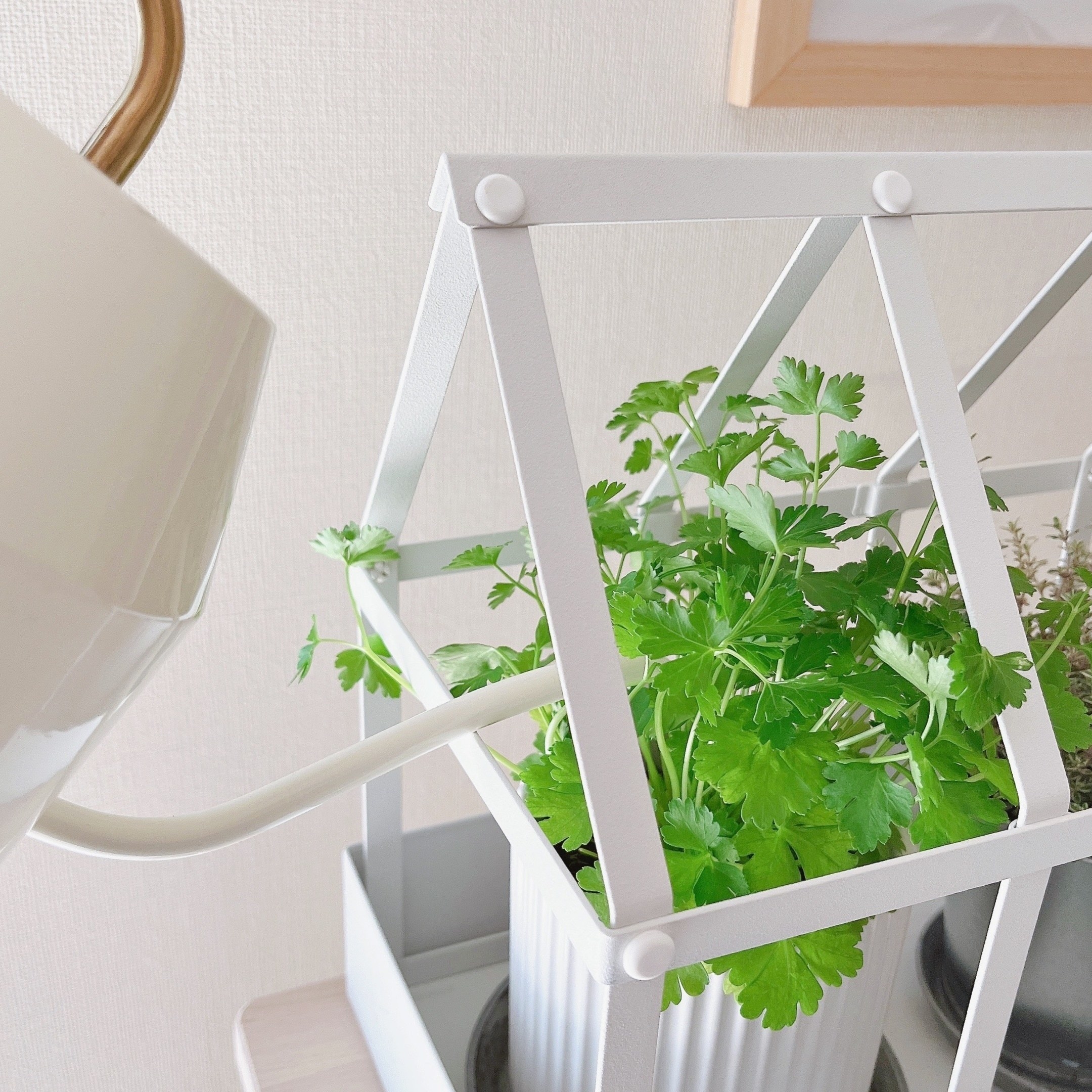 IKEA（イケア）のオススメのガーデニンググッズ「VATTENKRASSE ヴァッテンクラッセ じょうろ」