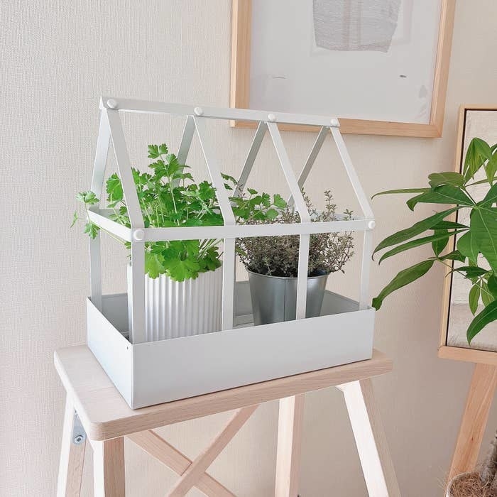 IKEA(イケア)のオススメのガーデニンググッズ「SENAPSKÅL/セナープスコール デコレーション グリーンハウス」