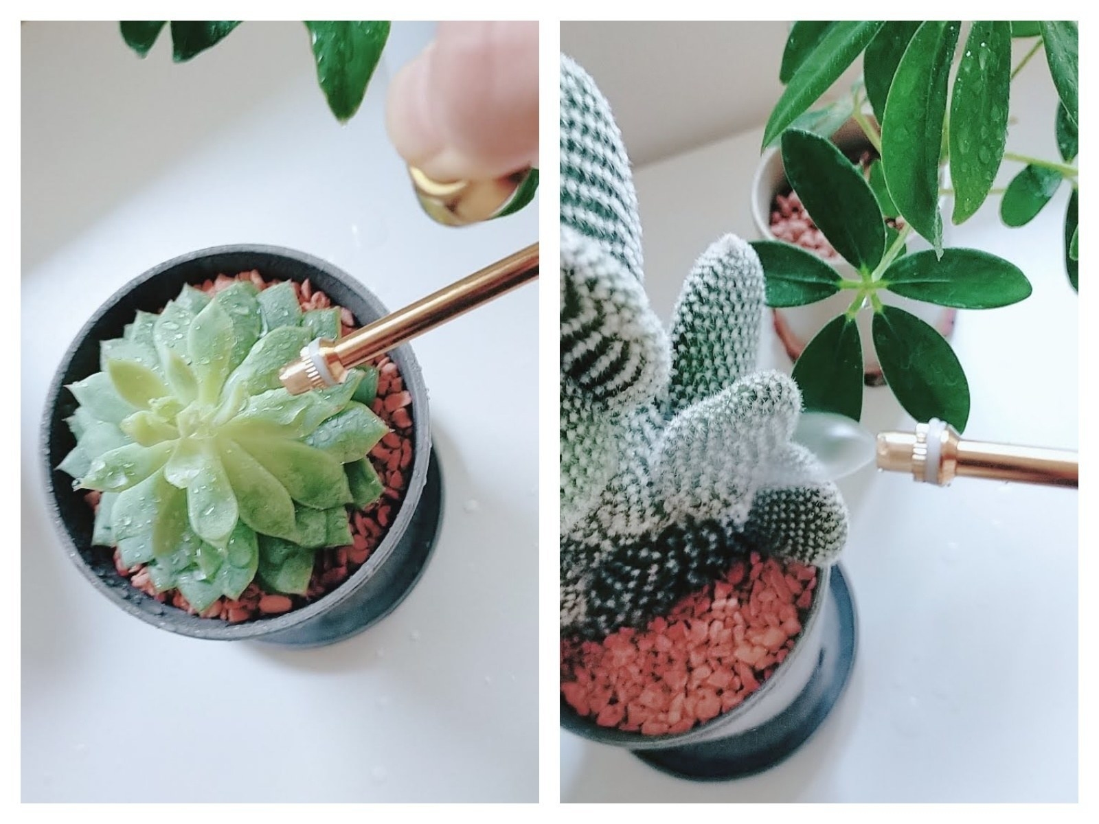 IKEA（イケア）のオススメのガーデニンググッズ「GRADVIS グラードヴィス プラントスプレー」