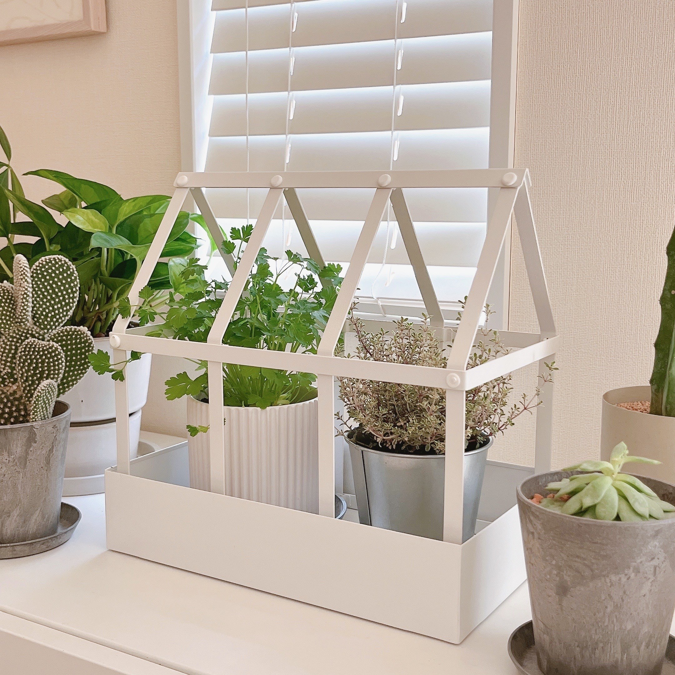 IKEA（イケア）のオススメのガーデニンググッズ「SENAPSKÅL／セナープスコール デコレーション グリーンハウス」