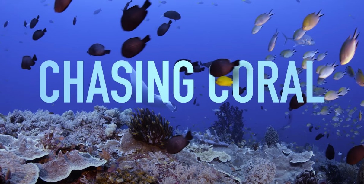 Chasing Coral title screen