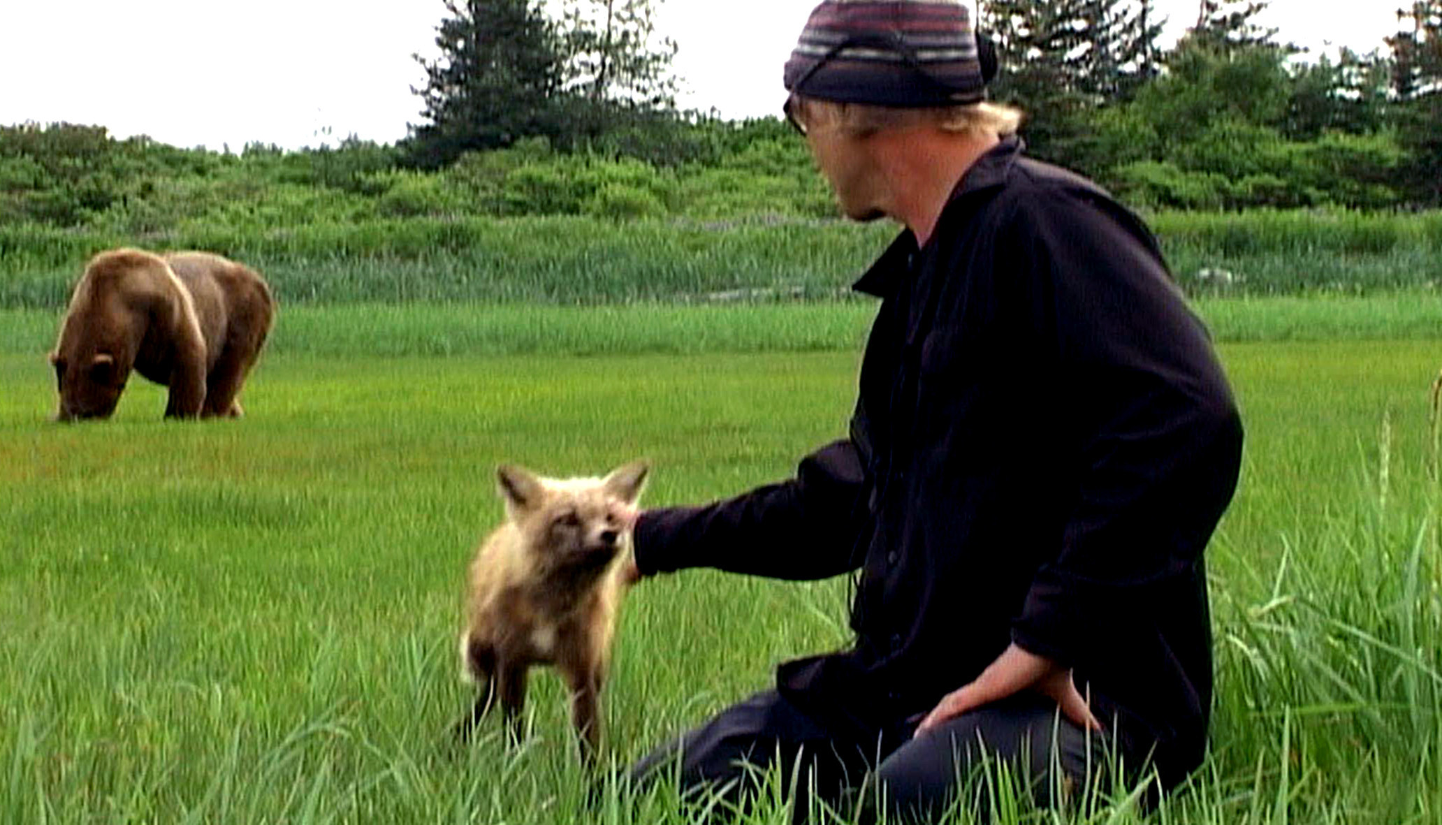 A man pets a fox while a grizzly bear looks on in the background