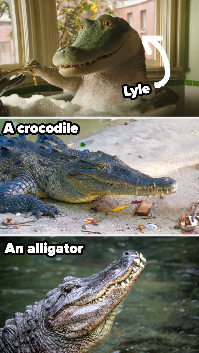Screenshot from &quot;Lyle, Lyle, Crocodile&quot;