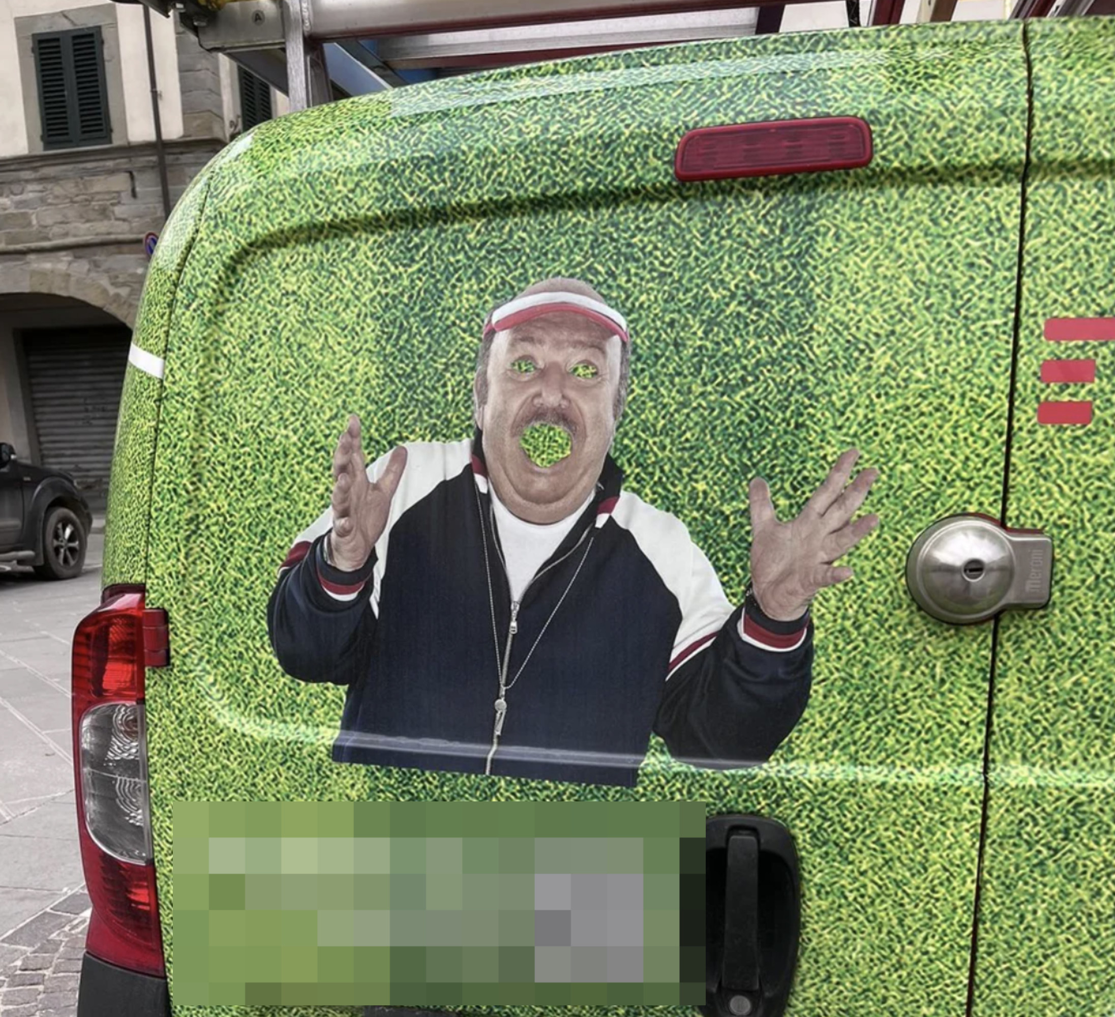 A grass design on a truck