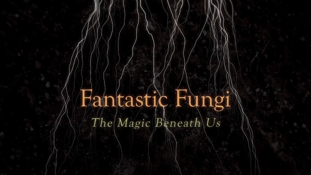 Fantastic Fungi title screen