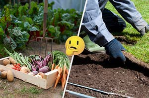 Split frame of cultivated vegetables from garden and a person laying sod