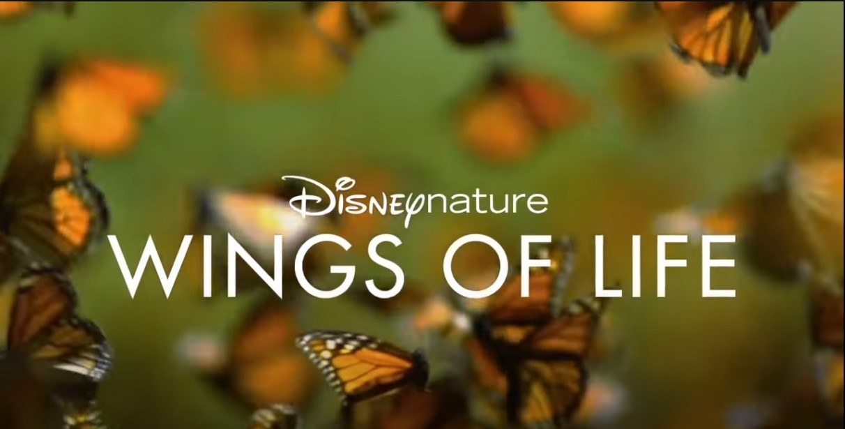 Wings of Life title screen