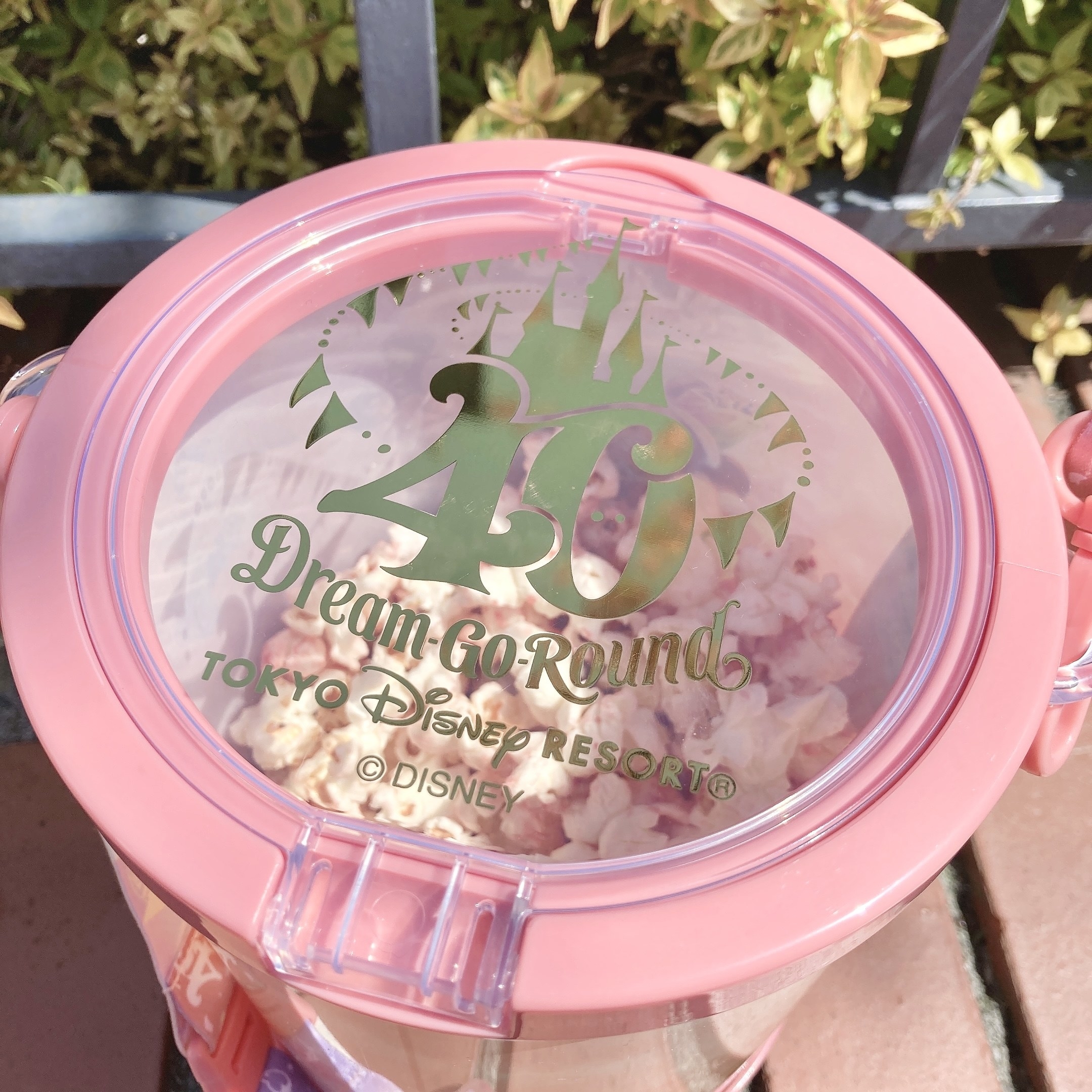 ディズニーランドの「限定ポップコーンバケット」が最高にカワイイ