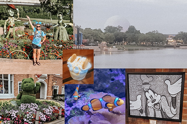 Various pictures from EPCOT including the ball, artwork, aquarium, art, and food.