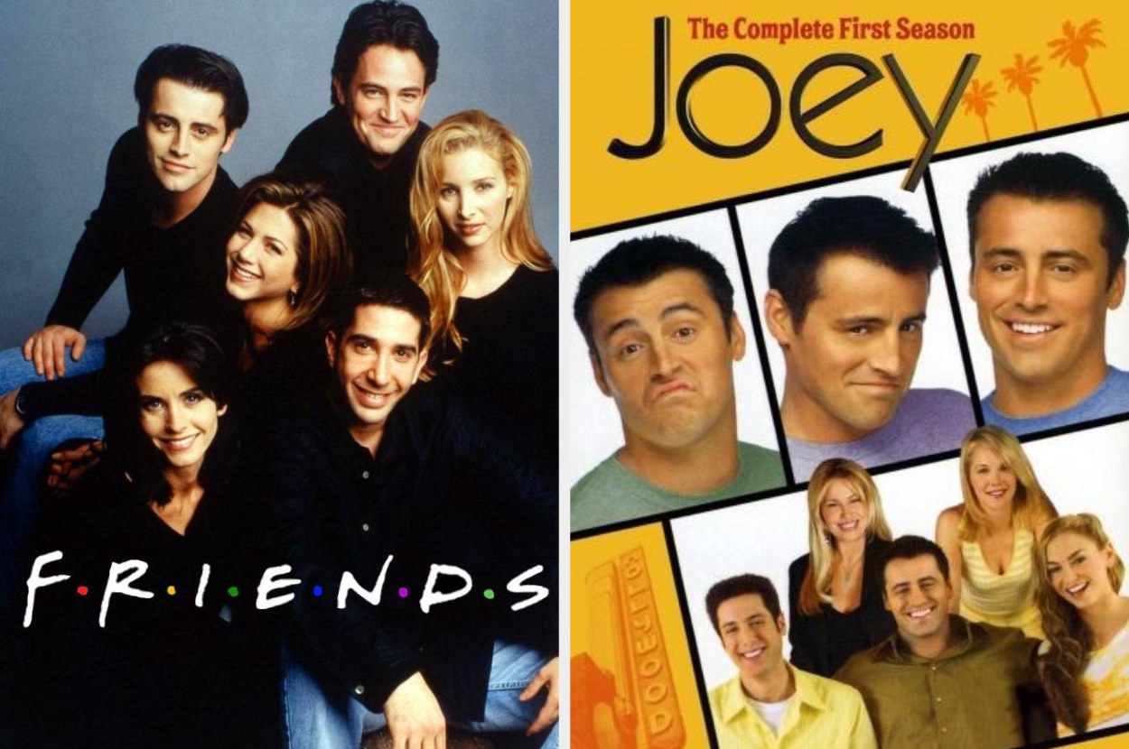 Do You Agree With My Unpopular Opinions About Friends?