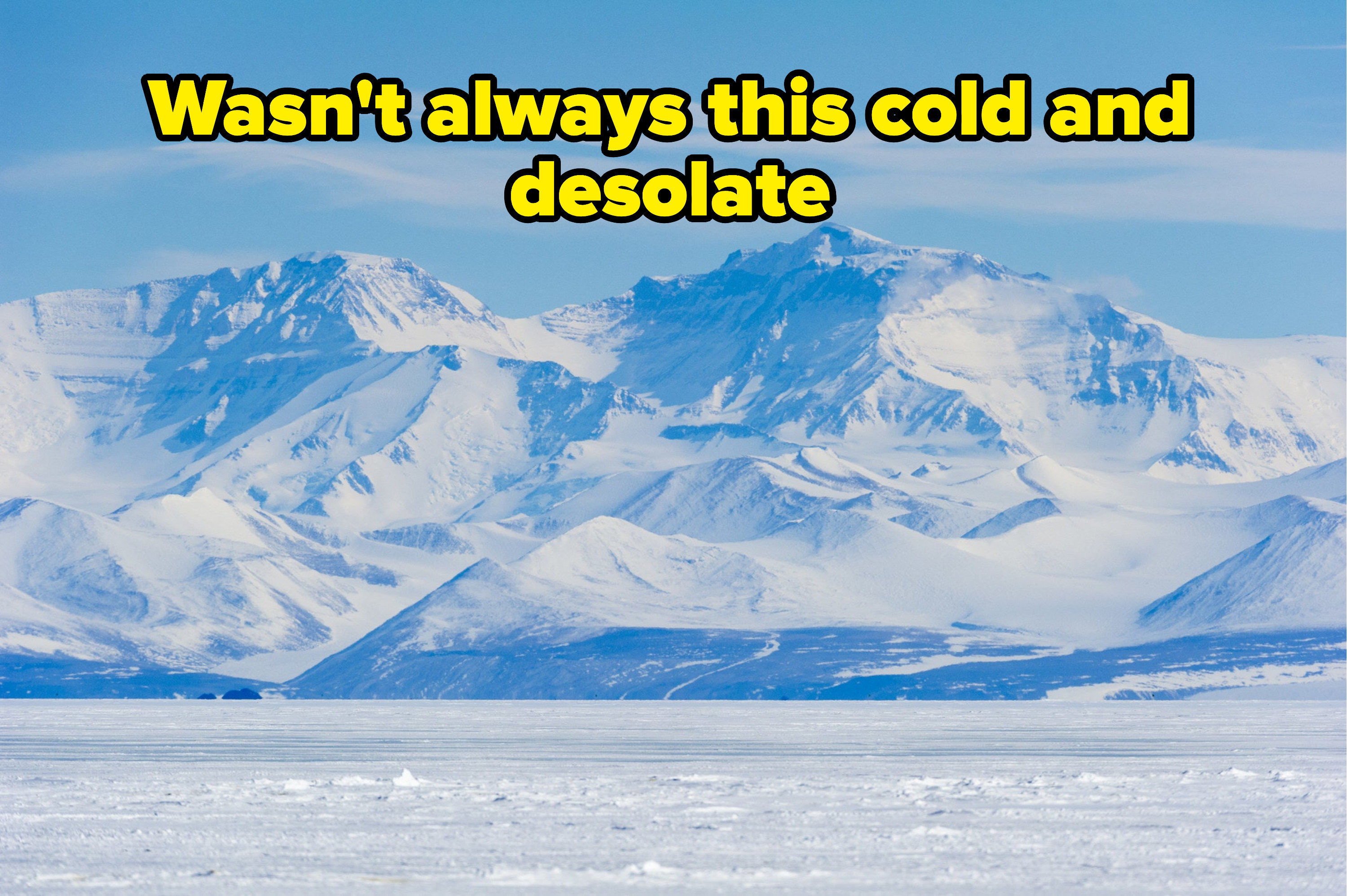 Antarctica with caption &quot;Wasn&#x27;t always this cold and desolate&quot;