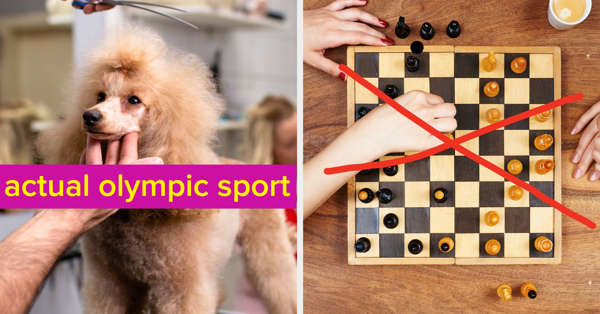 Olympic Sports Weird – Discovering the Unconventional Side of the Games