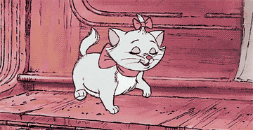 White kitten from Disney&#x27;s Aristocats prancing on the floor with a bow around their neck and on top of their head