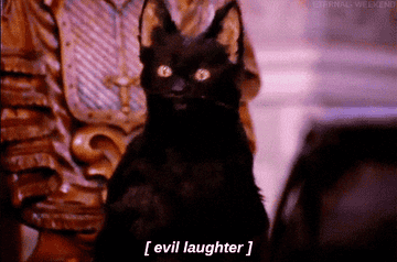 Black cat from the original Sabrina The Teenage Witch laughing with subtitle reading &quot;evil laughter&quot;
