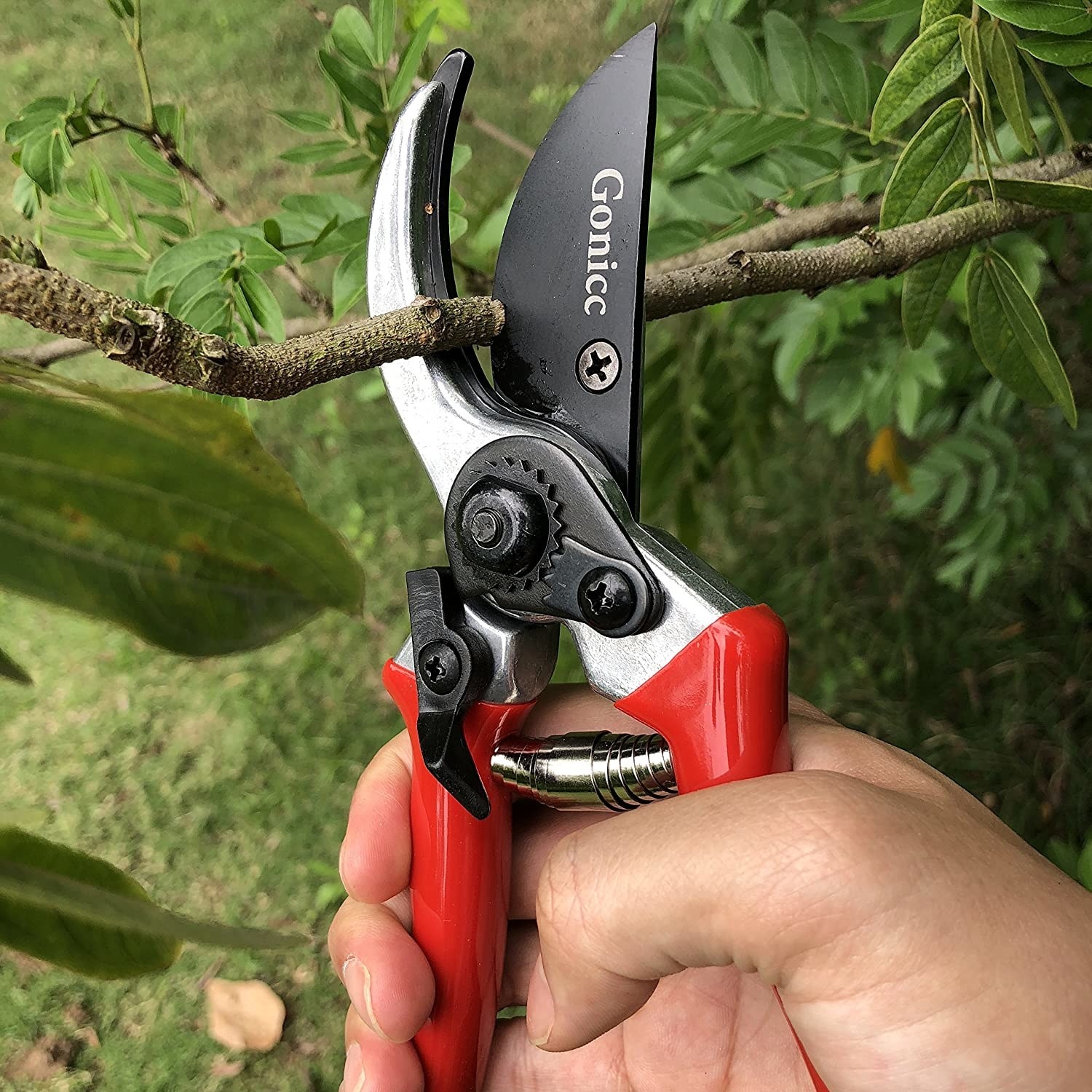 A person using the shears to trim a branch