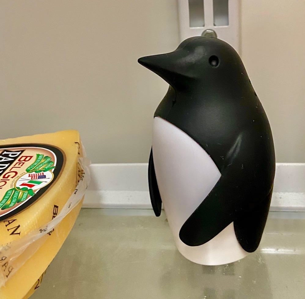 Reviewer&#x27;s photo of the penguin fridge deodorizer inside a refrigerator