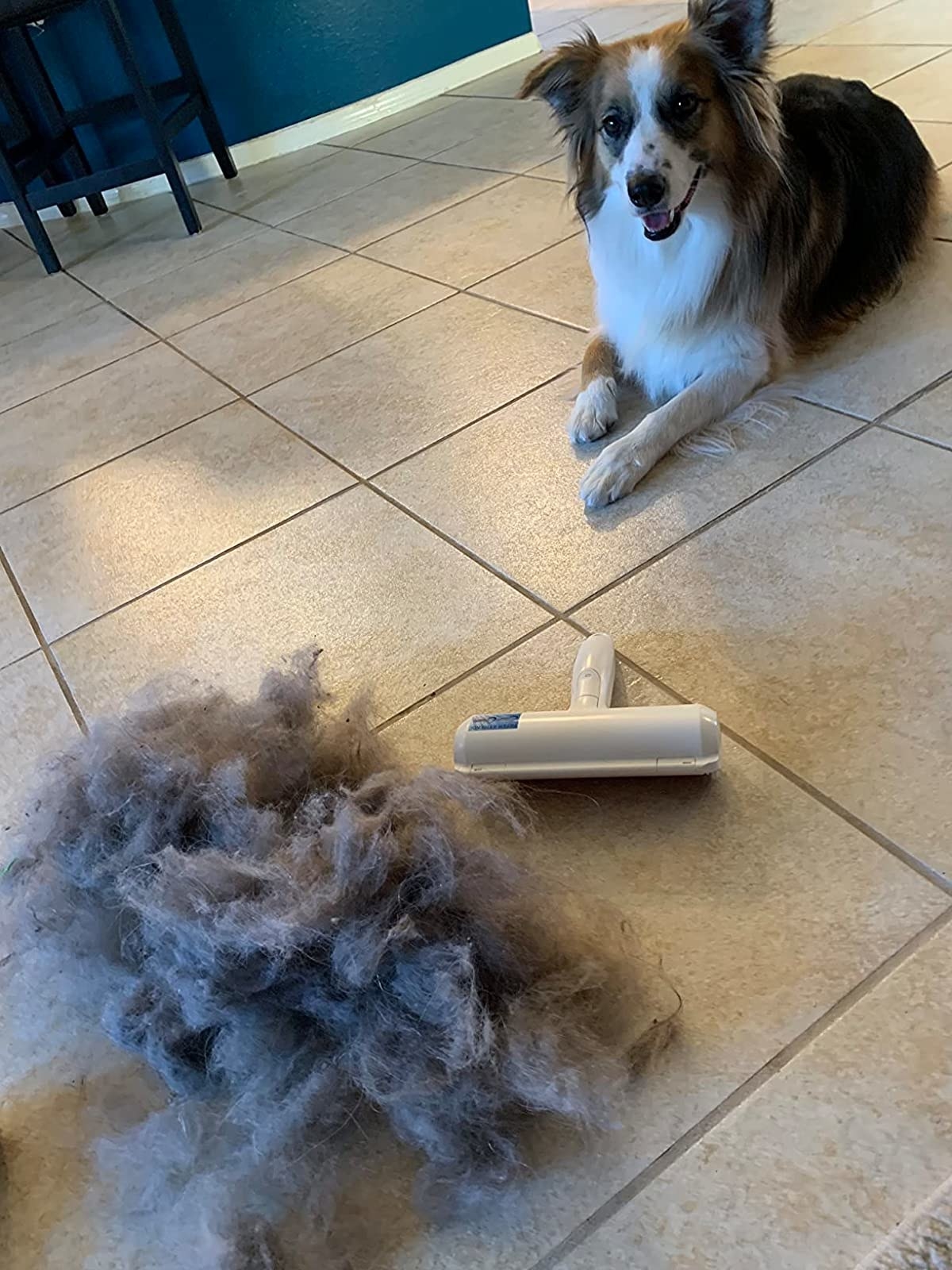 Reviewer&#x27;s dog smiling while next to a gigantic mound of hair the same size as the dog with the ChomChom roller next to the removed hair