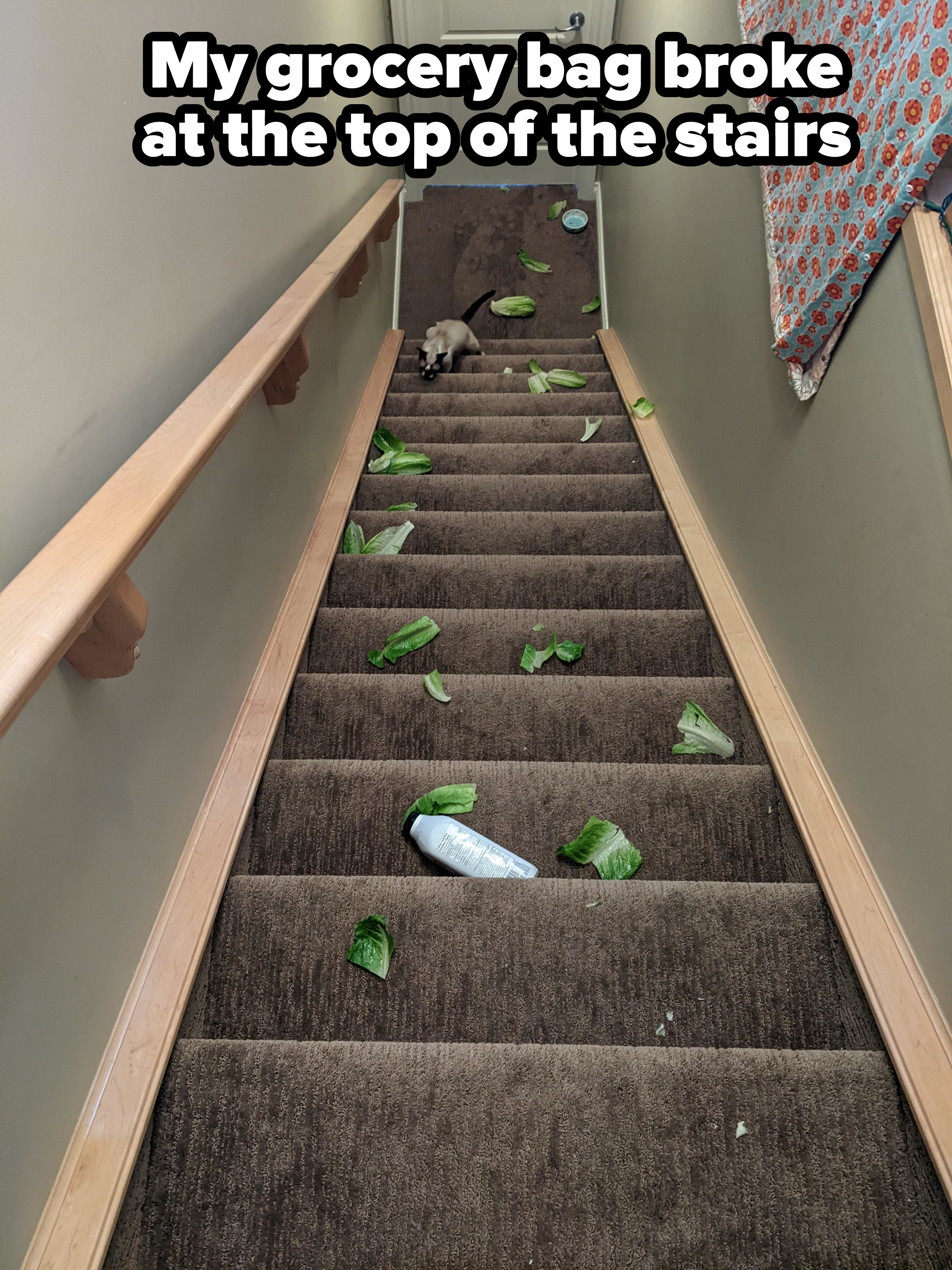 groceries on the stairs