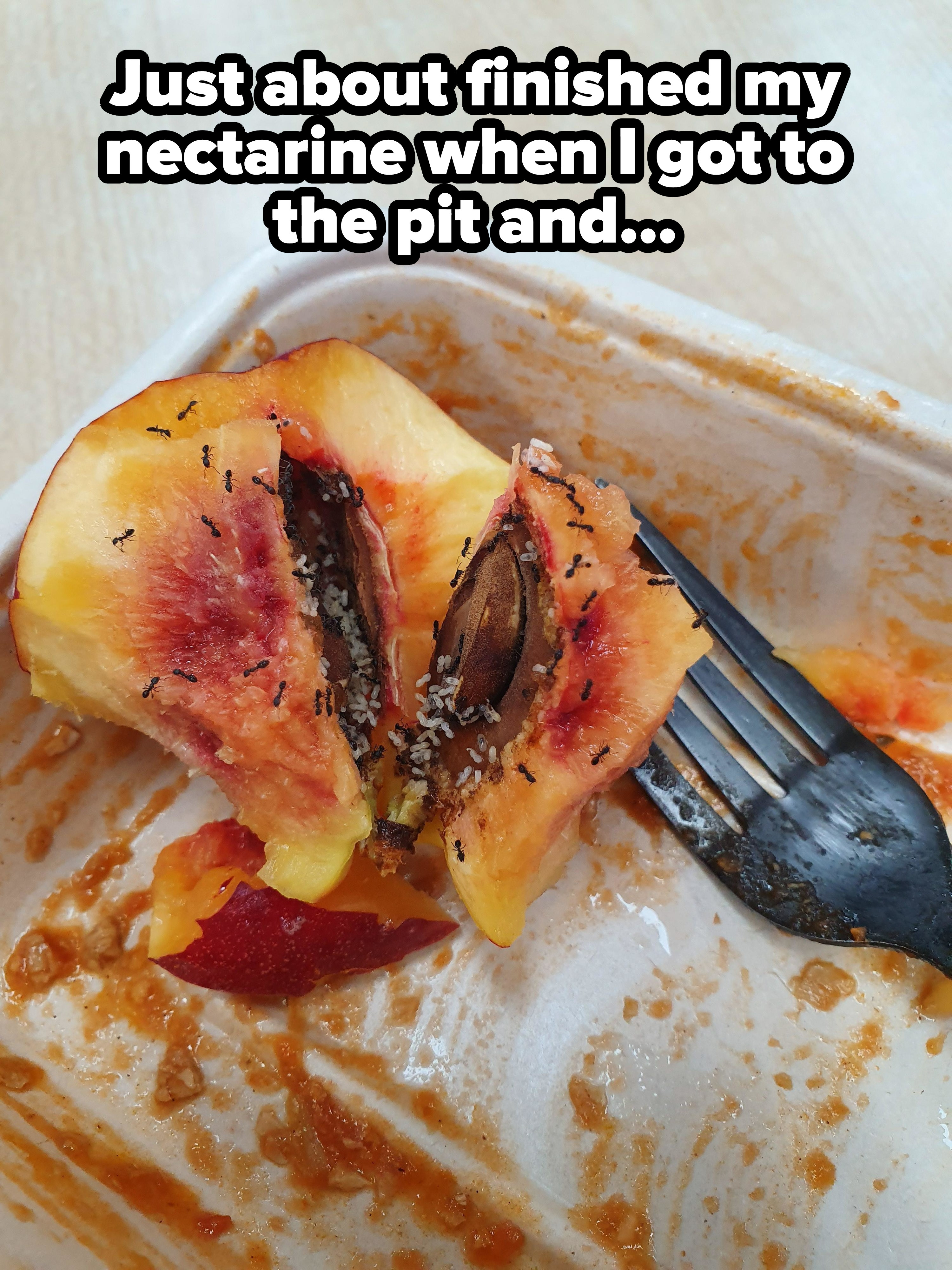 Ants in a nectarine