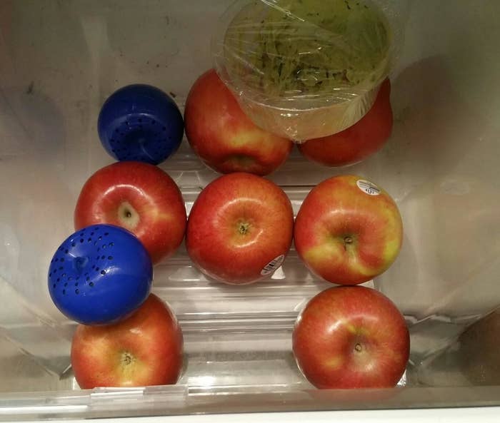 Reviewer image of blue apples in a crisper with apples