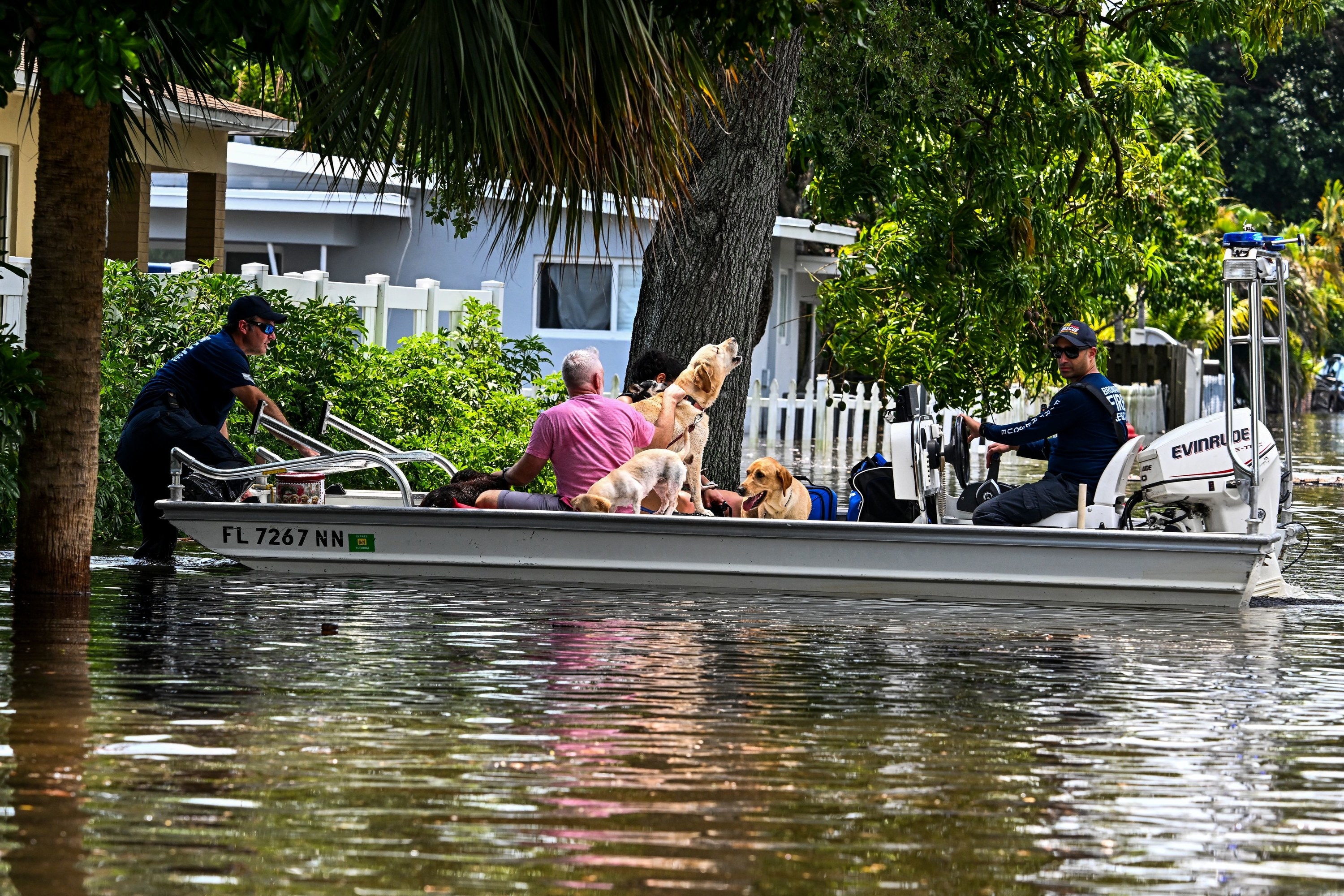 People with their dogs in a raft