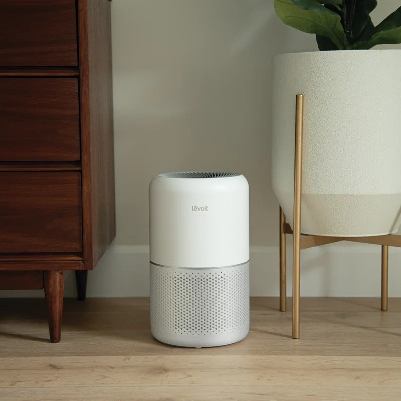 the air purifier on a wooden floor next to a dresser and a planter