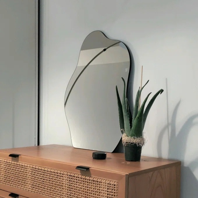 the wavy mirror on a dresser next to an aloe plant