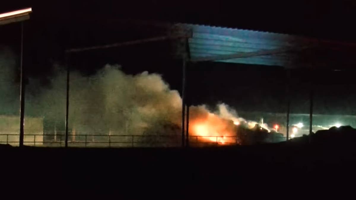 Around 18,000 cattle have died in an explosion and subsequent fire at the South Fork Dairy Farm in Dimmit, Texas, and one employee is in critical condition.