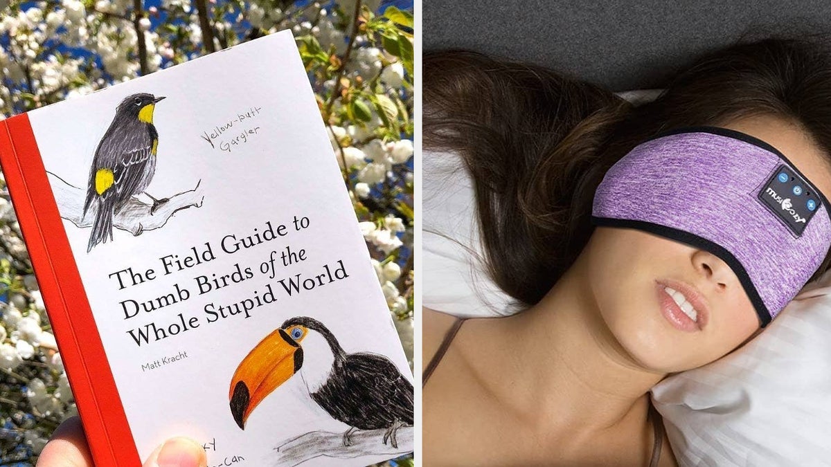A bird book and a bluetooth mask