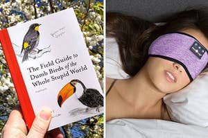 A bird book and a bluetooth mask