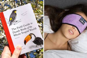 A bird book and a bluetooth mask