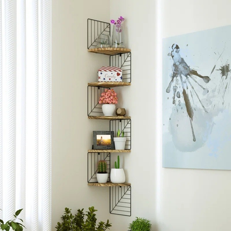 The five shelf on a wall displaying plants and family mementos
